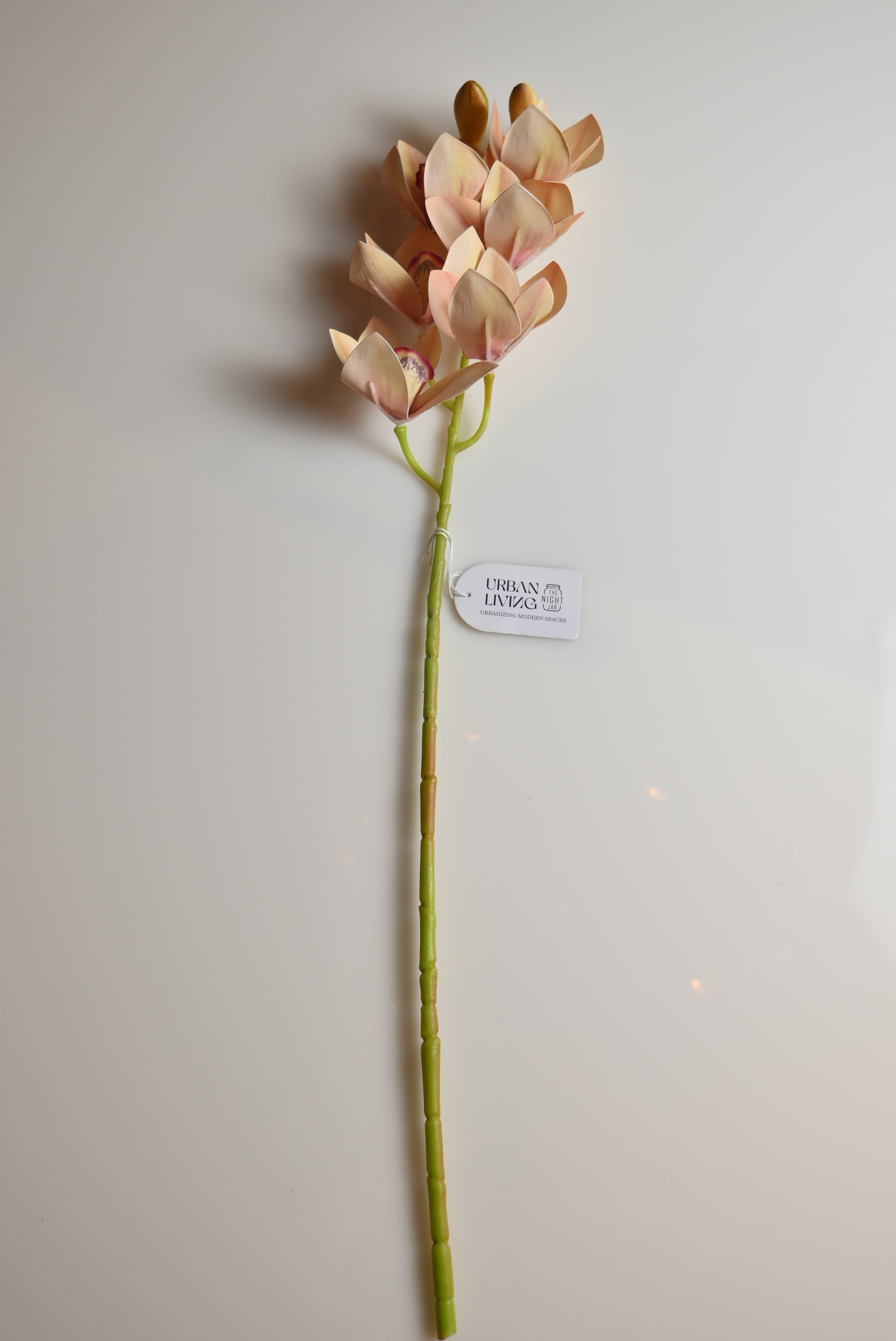 Small Cymbidium Beige Flower Stick